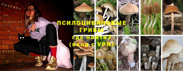 гидропоника Инсар