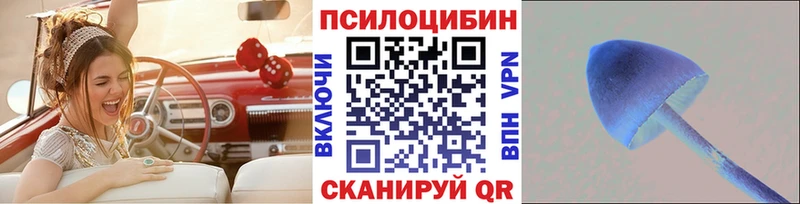 Купить  Поронайск  Галлюциногенные грибы Magic Shrooms 